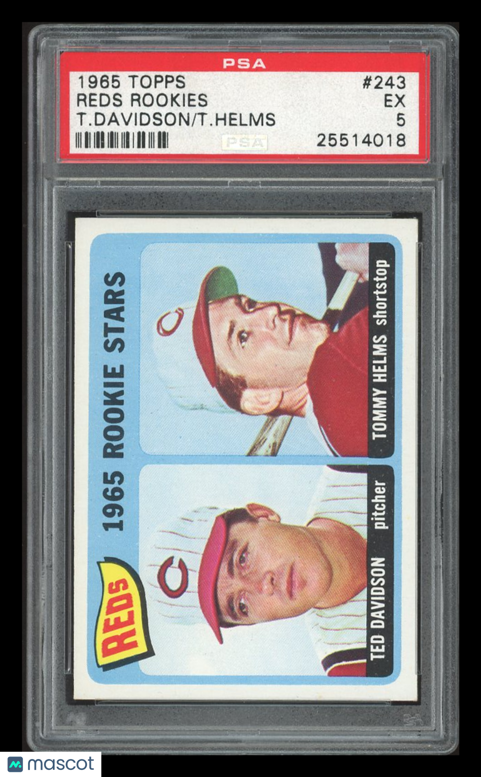 1965 Topps Reds Rookies #243 T. Davidson T. Helms PSA 5