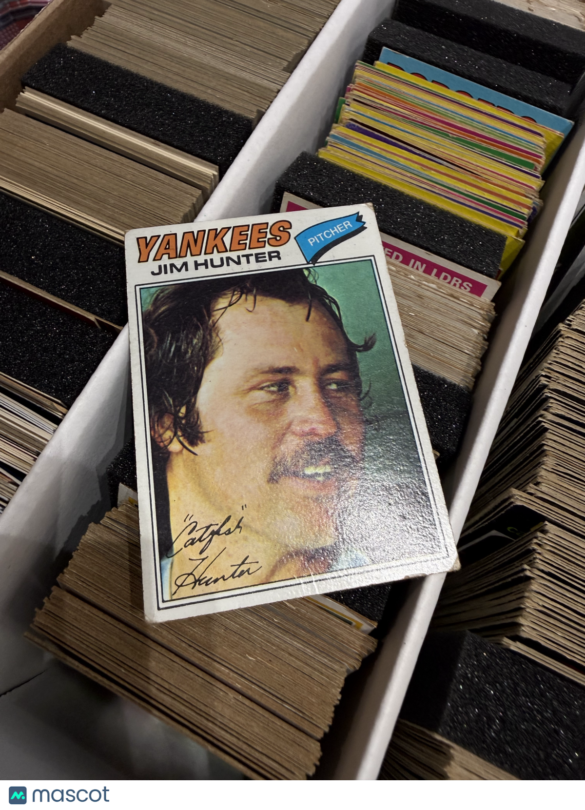 1977 Topps Hall of Fame Lot (36 Cards)